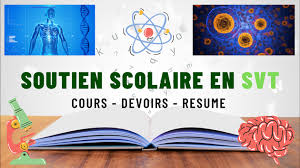 S.V.T soutien scolaire
